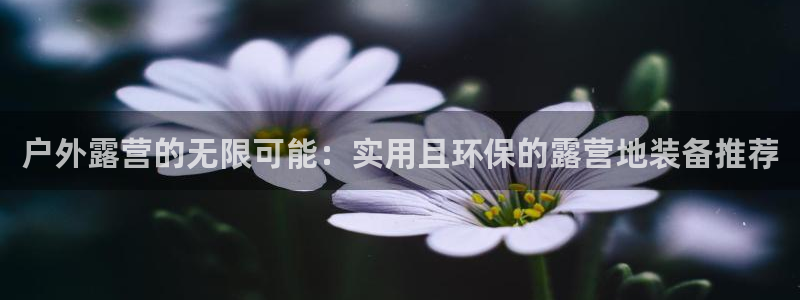 富邦娱乐有限公司
