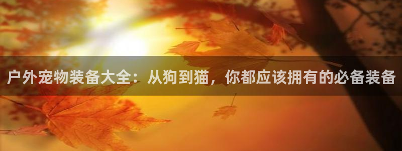 富邦娱乐平台