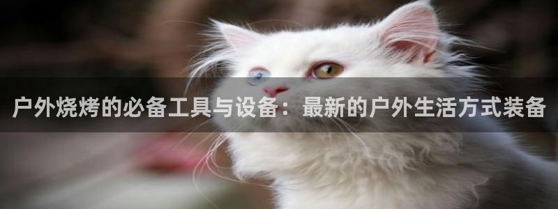 富邦电子娱乐