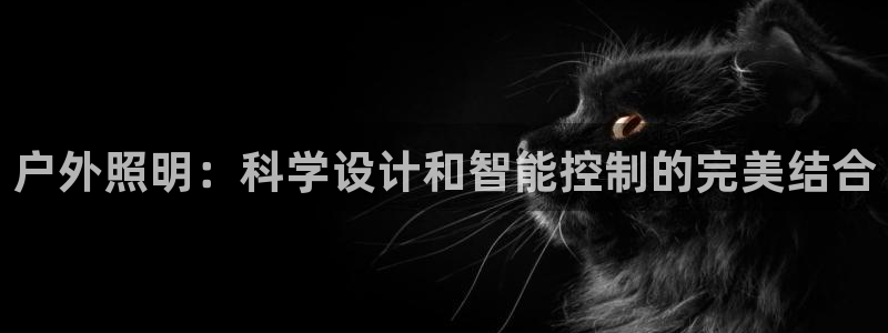 富邦美业势不可挡娱乐