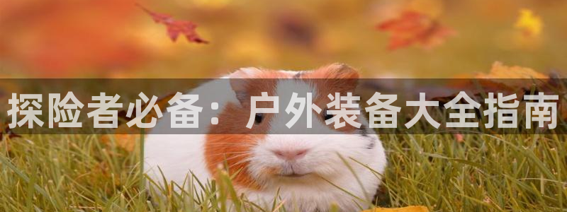 富邦娱乐场手机下载