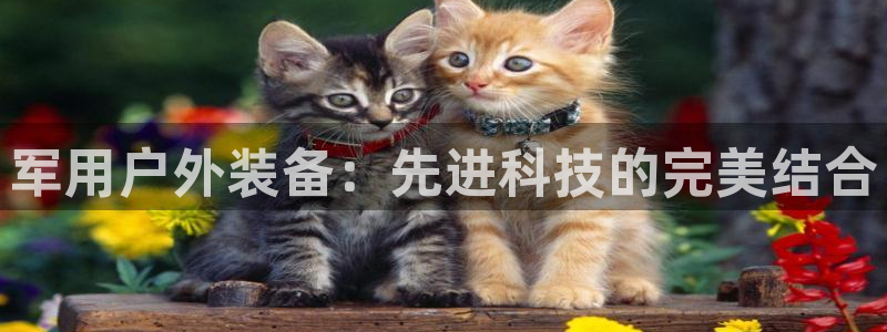 富邦线上娱乐城
