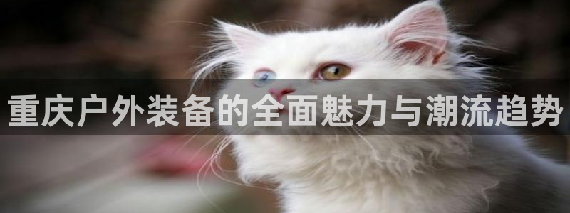 北仑富邦娱乐会所电话