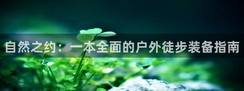 富邦娱乐官网上全狐网