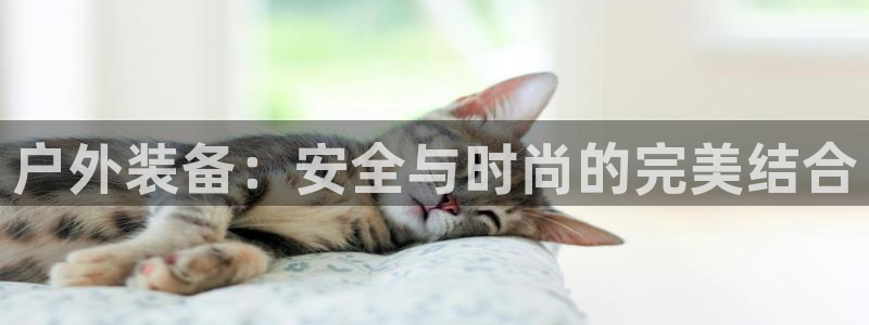 富邦娱乐国际