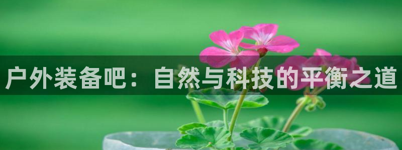 壹家娱乐北仑区富邦