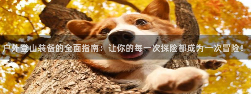 富邦娱乐平台-皇恩靠谱