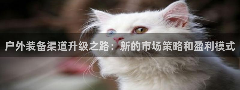 富邦娱乐彩票最新地址