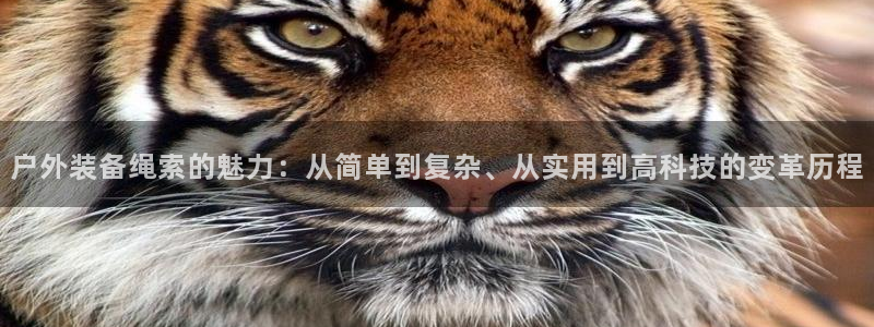 北仑富邦娱乐会所电话