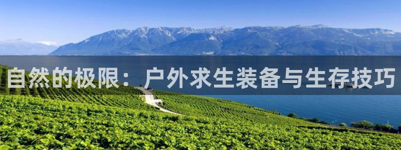 富邦娱乐平台登录入口官网