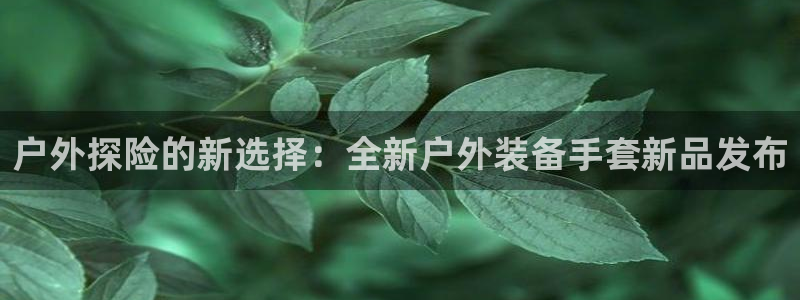 杭州富邦娱乐集团