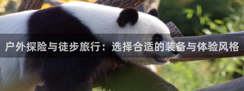 富邦娱乐团购活动时间