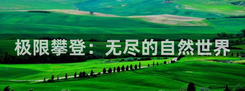www.富邦娱乐场所
