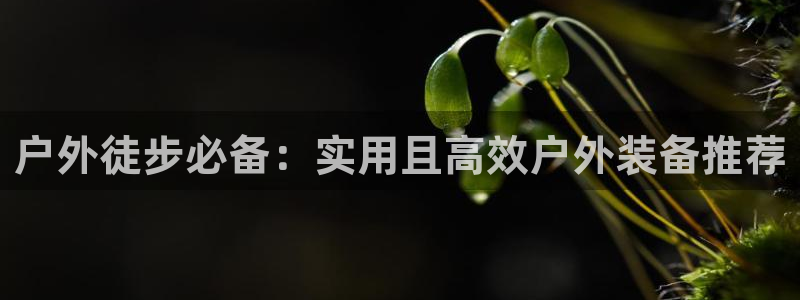 富邦天娱乐