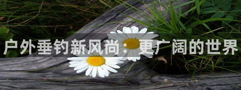 富邦娱乐登入 全礴网