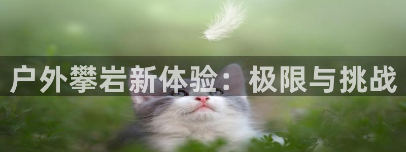 富邦娱乐 富邦娱乐平台