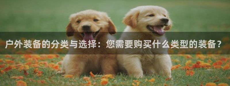 富邦中心娱乐