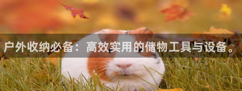 www.富邦娱乐场所