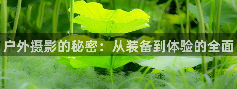 富邦娱乐有限公司