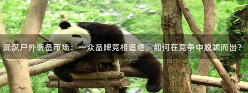 富邦娱乐-上全狐网