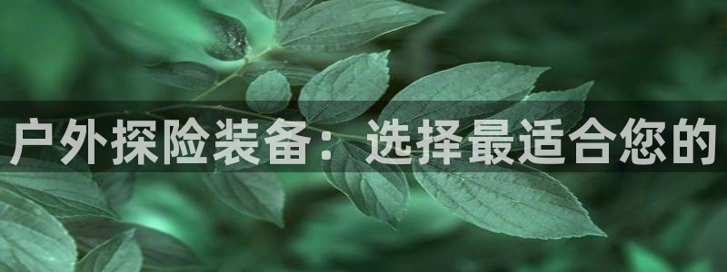 富邦娱乐注册-上全户网