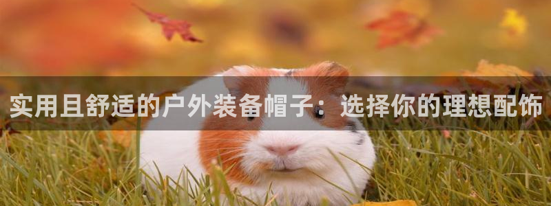 富邦 娱乐 花花公子