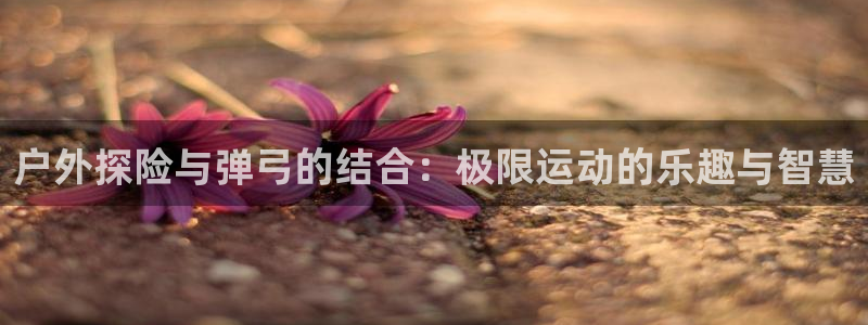 富邦娱乐 www.3806.com