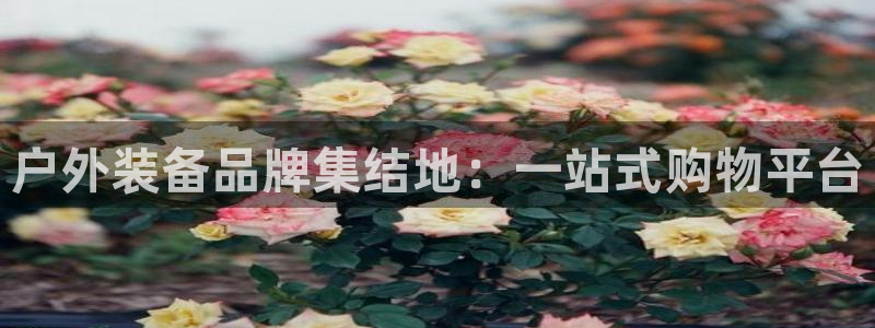 富邦娱乐网站是