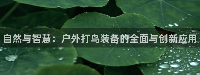 富邦翡翠娱乐怎么样知乎