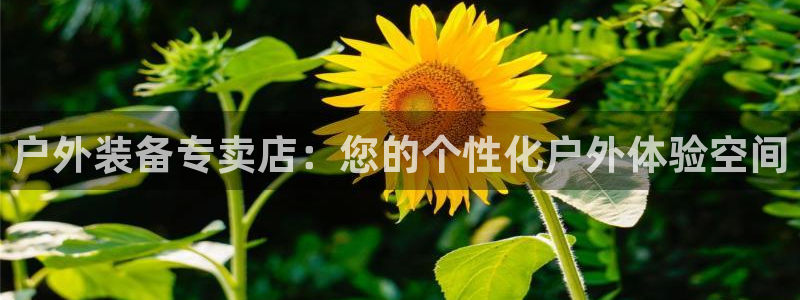 富邦翡翠娱乐怎么样知乎