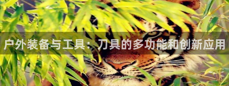 临平富邦娱乐会所