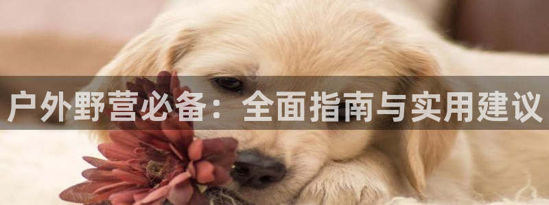 富邦商务娱乐会所