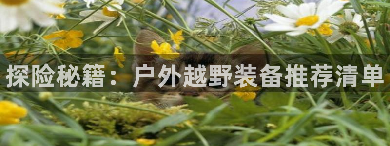 富邦娱乐平台 全礴网